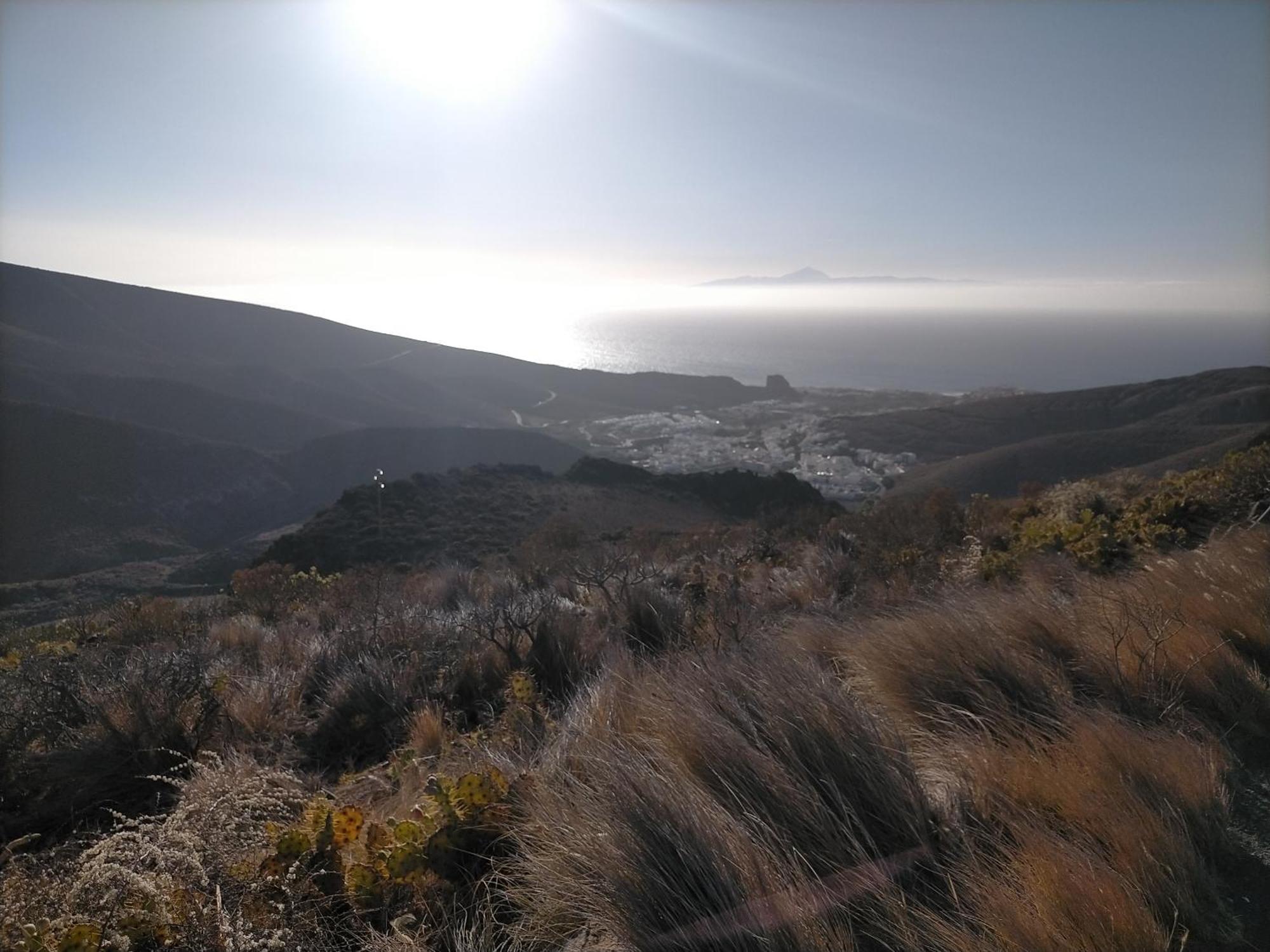 La Jacaranda Agaete (Gran Canaria)