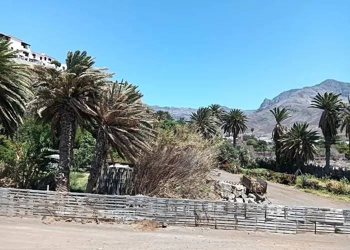 La Jacaranda