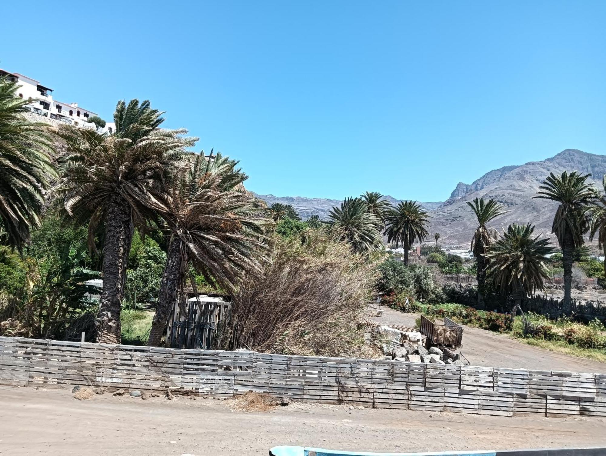 La Jacaranda Apartament Agaete (Gran Canaria)